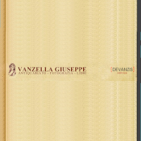 logo Vanzella Giuseppe (Antiquariato/Fotografia/Libri)