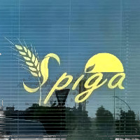 logo Pizzeria Spiga