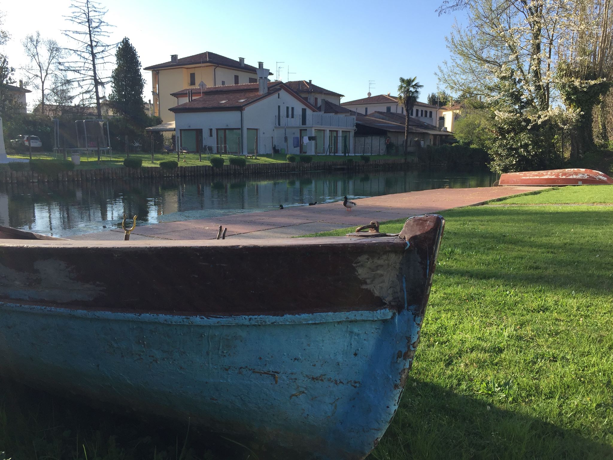 immagine fotogallery