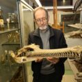 Riapre dopo 30 anni la Collezione di storia naturale Giuseppe Scarpa – Seminario vescovile di Treviso